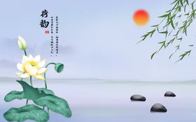 荷花