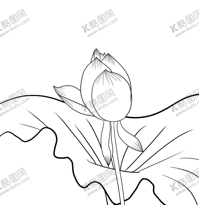编号：73714504280300373650【酷图网】源文件下载-荷花