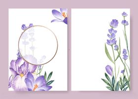 紫色花手绘素材