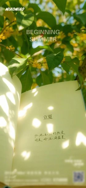 立夏文创节气海报