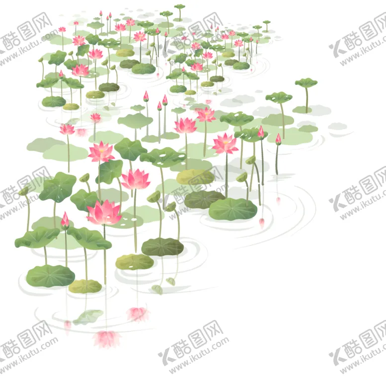 编号：73731106290230156748【酷图网】源文件下载-荷花