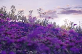 世界各地风景图片