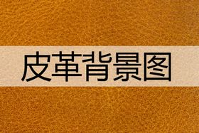 编号：89072509230009267501【酷图网】源文件下载-皮革效果图logo样机金色