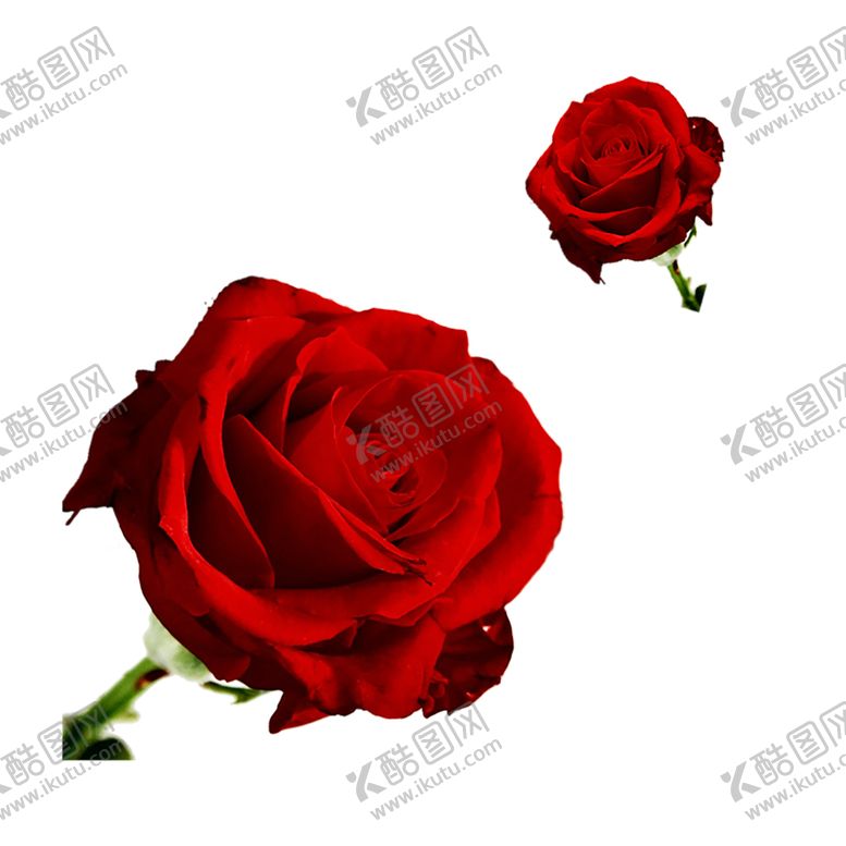 编号：20424005131557159264【酷图网】源文件下载-浪漫素材