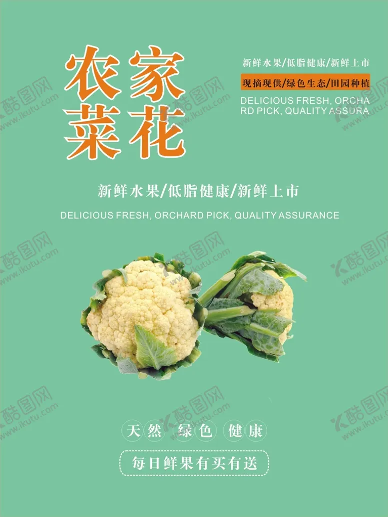 编号：82152502040558356244【酷图网】源文件下载-菜花海报