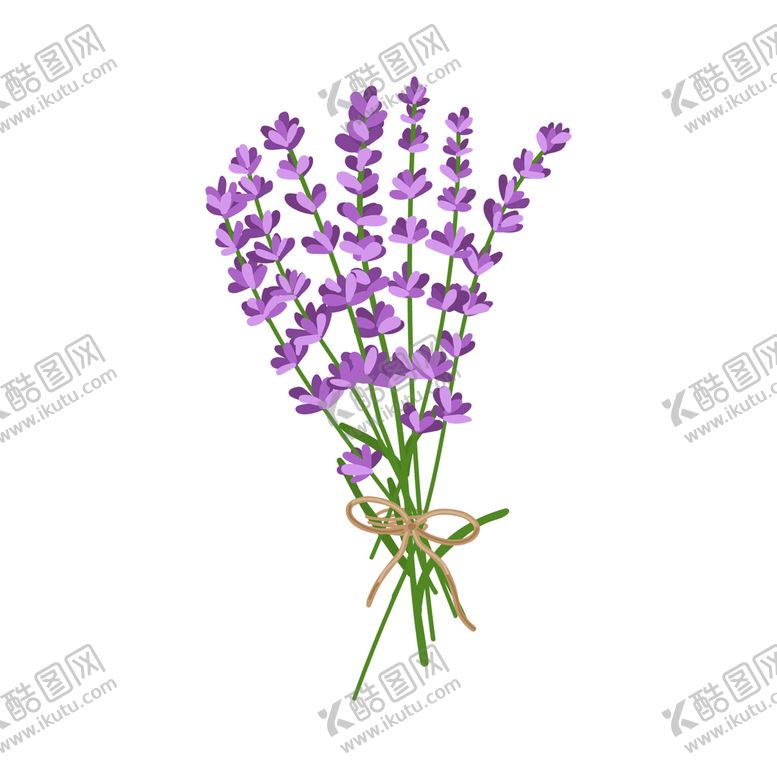 编号：92148510061132360361【酷图网】源文件下载-卡通薰衣草