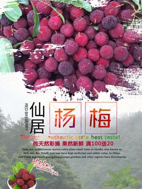 杨梅海报