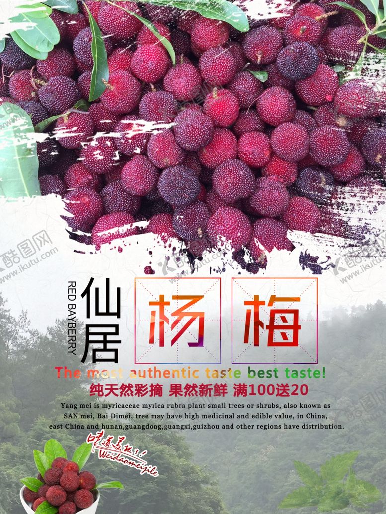 编号：65349206190908174985【酷图网】源文件下载-杨梅海报