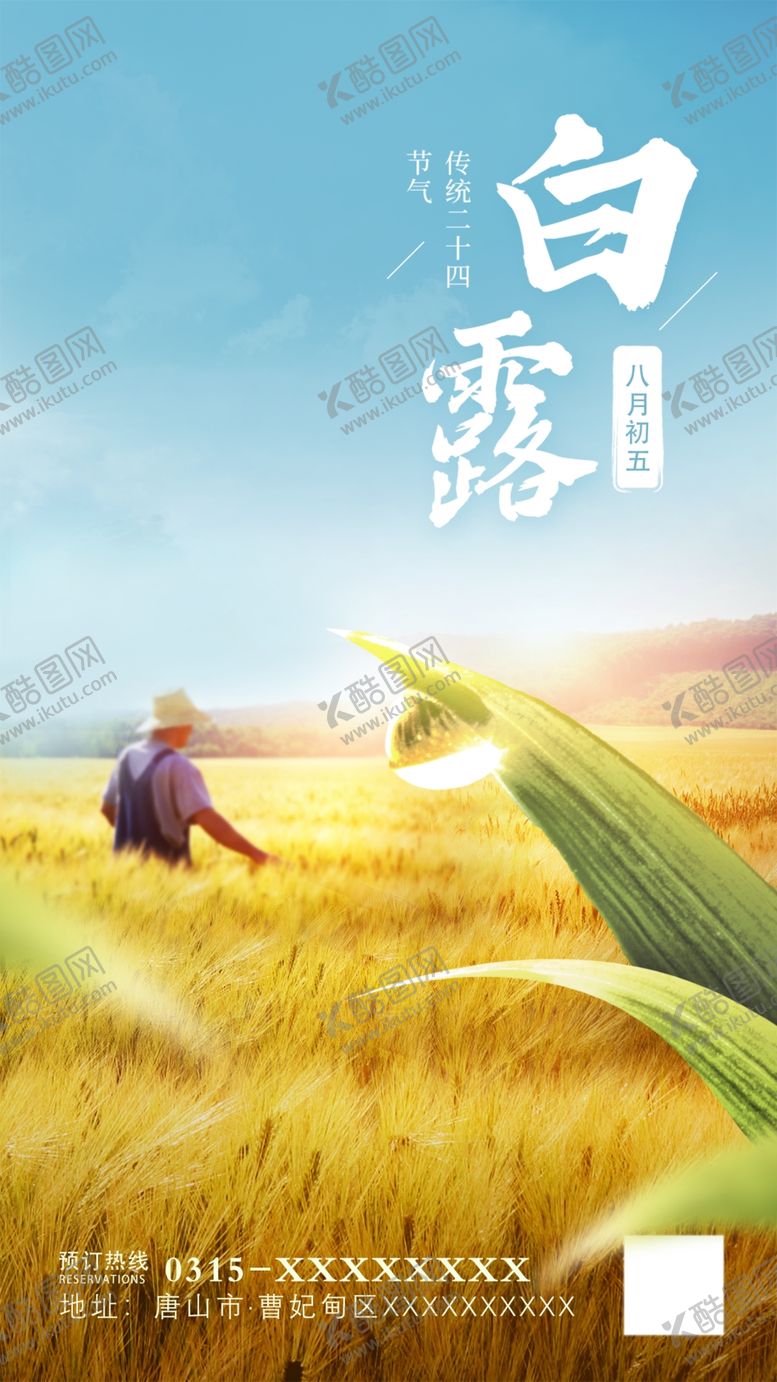 编号：88269702211518108617【酷图网】源文件下载-白露海报