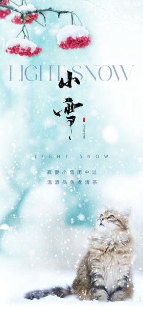 小雪海报