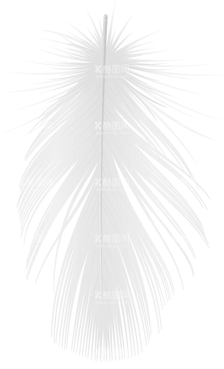 编号：53175811261922229758【酷图网】源文件下载-羽毛 素材