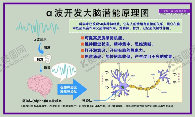 编号：60445502102208446569【酷图网】源文件下载-开发大脑潜能