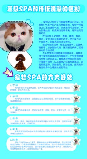 宠物SPA