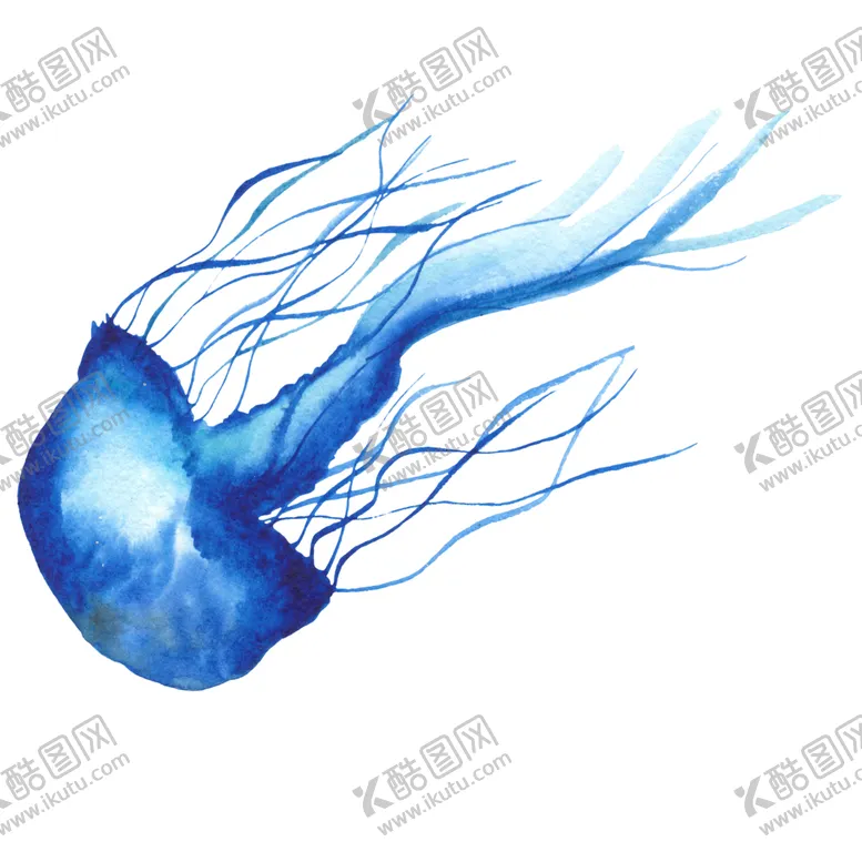 编号：60425506301908083262【酷图网】源文件下载-海洋生物水母图案
