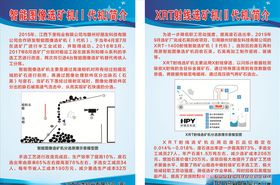 智能图像选矿机简介