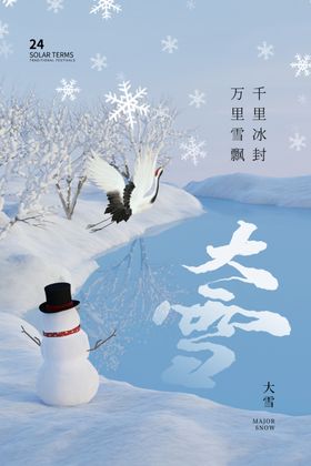 大雪海报