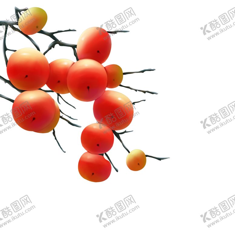 编号：82049809291345305325【酷图网】源文件下载-冬季柿子素材