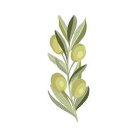 森系花枝