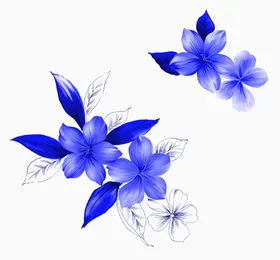 青花瓷花纹
