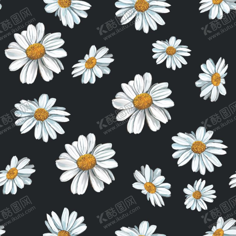 编号：59048909202006513587【酷图网】源文件下载-菊花