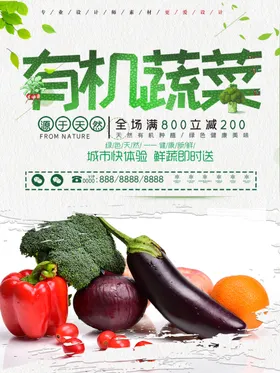有机蔬菜