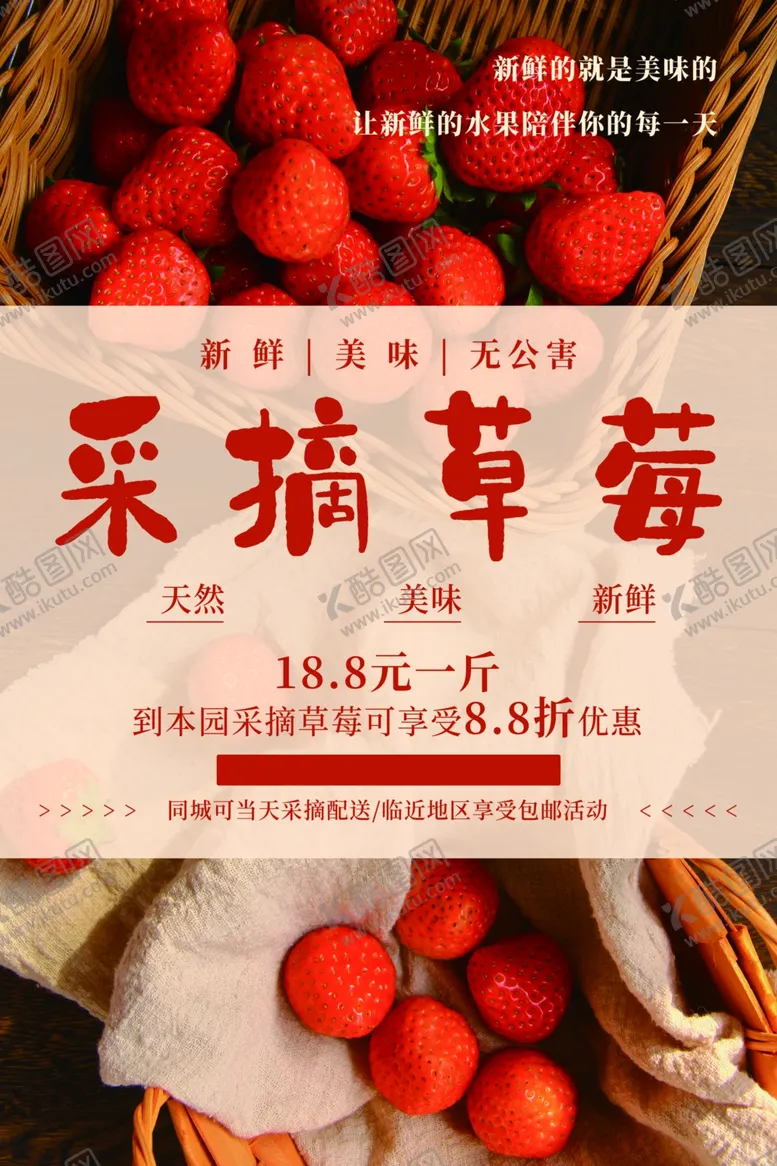 编号：84918001271154425689【酷图网】源文件下载-采摘草莓
