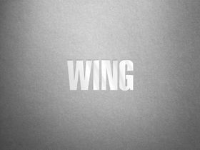 logo样机图片浮雕LOGO智能层展示标志