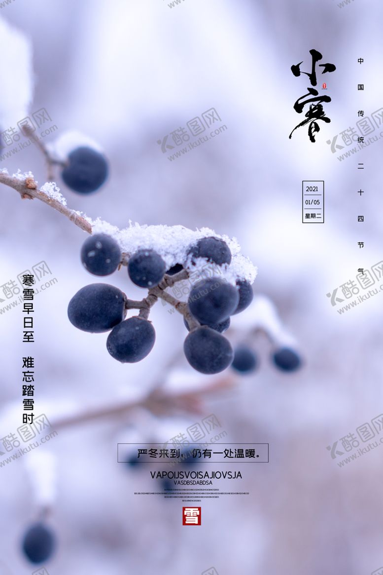 编号：65487909150944033854【酷图网】源文件下载-小寒海报