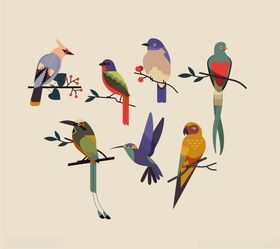 小鸟矢量