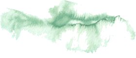 海报元素花草元素展架元素