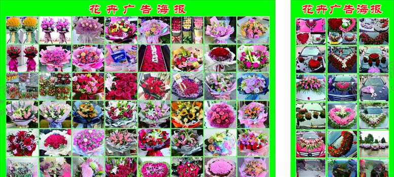 编号：27802407140406521248【酷图网】源文件下载-花卉广告