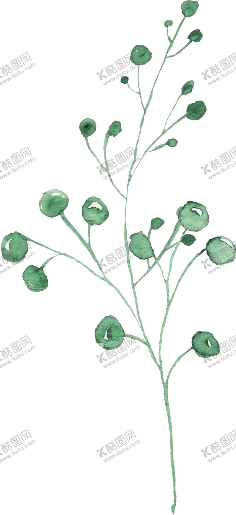 编号：40601209230958284580【酷图网】源文件下载-海报元素花草元素展架元素