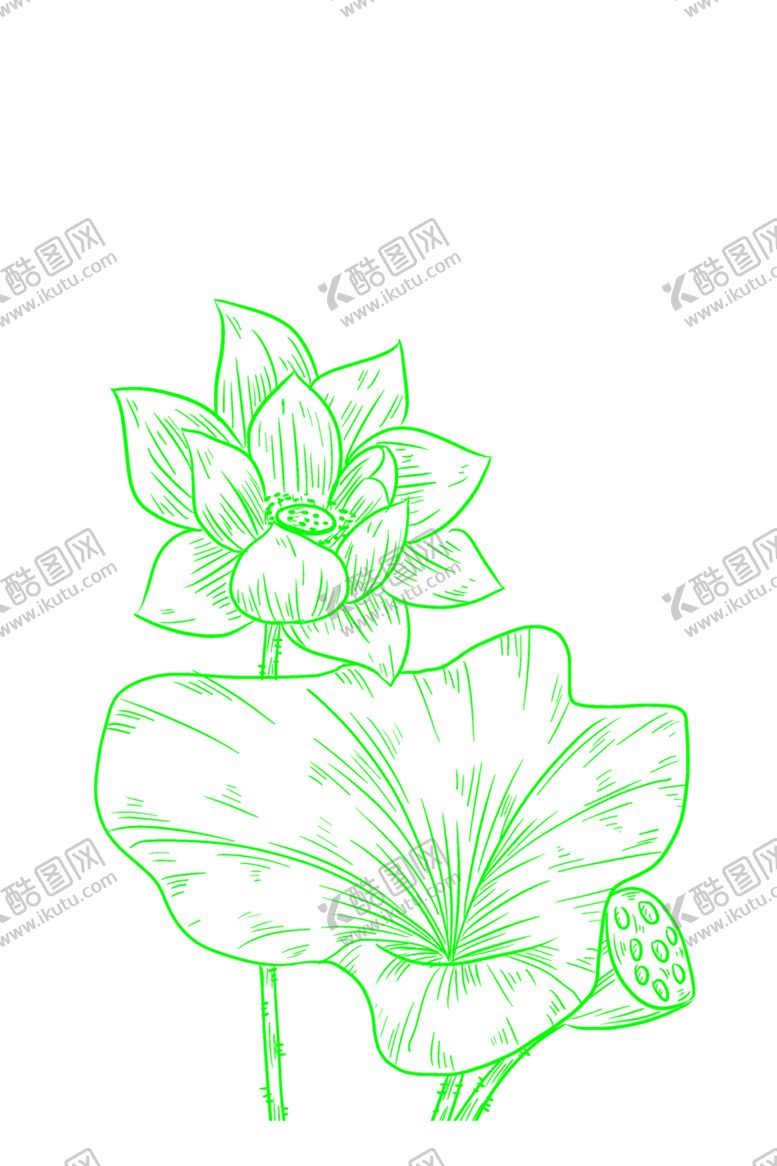 编号：80963301210030538325【酷图网】源文件下载-荷花简笔画