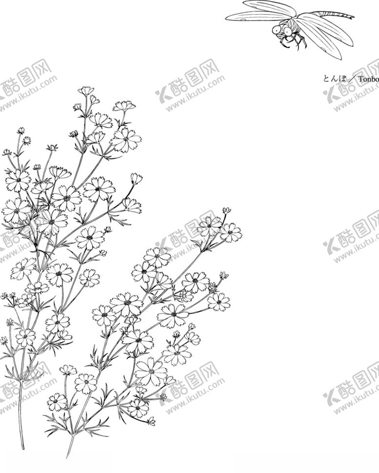 编号：59653810010850469045【酷图网】源文件下载-日本线描植物花卉矢量素材