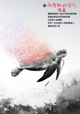保护海洋