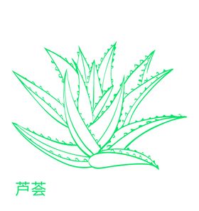 草本海报   