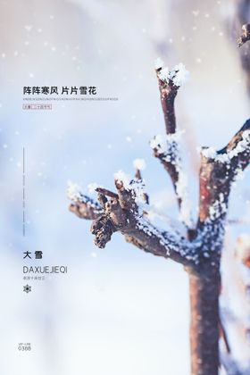 大雪H5背景