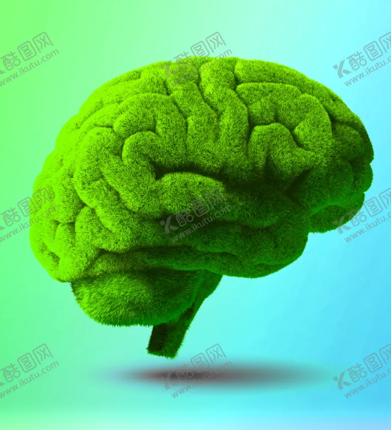编号：73381101201534484622【酷图网】源文件下载-大脑