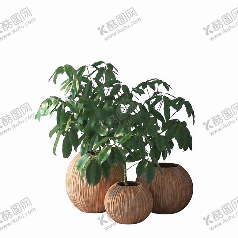 编号：53511701270613012460【酷图网】源文件下载-C4D模型绿色植物