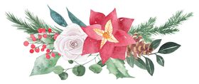 清新水彩植物花朵插画