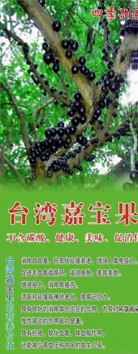 嘉宝果展架海报