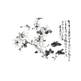 国画菊花