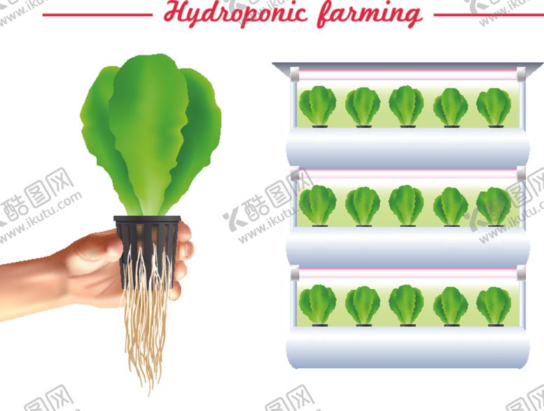 编号：42771504201517096427【酷图网】源文件下载-盆栽植物摆件