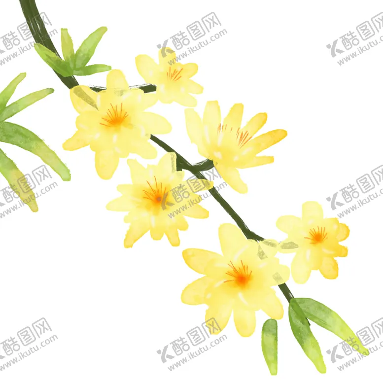 编号：51250502112237345560【酷图网】源文件下载-黄色迎春花花