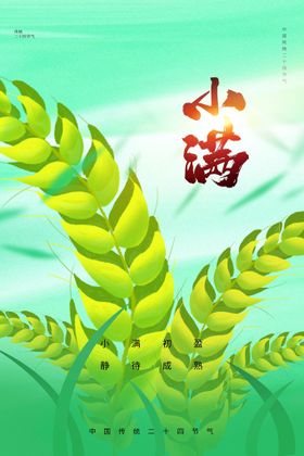 小满传统节气海报