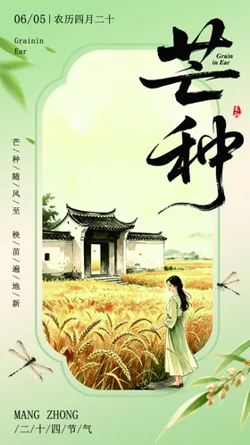芒种时节麦香四溢田园景