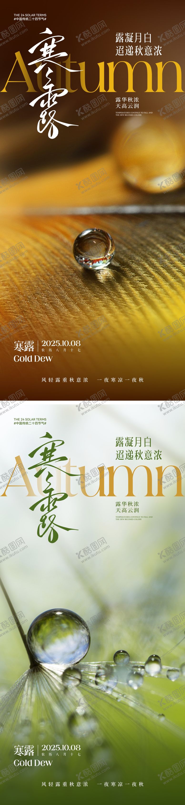 编号：38747509232251436093【酷图网】源文件下载-寒露节气系列海报