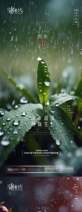 雨水节气系列海报