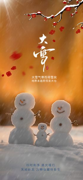 大雪海报