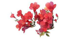 花红色元素